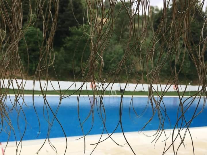 Hébergement de vacances El Mirador De La Torre *